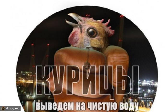 СК проверит сообщество «ВКонтакте» с «компроматом» на тюменских женщин