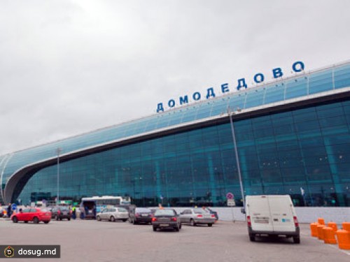 СМИ назвали основных претендентов на "Домодедово"