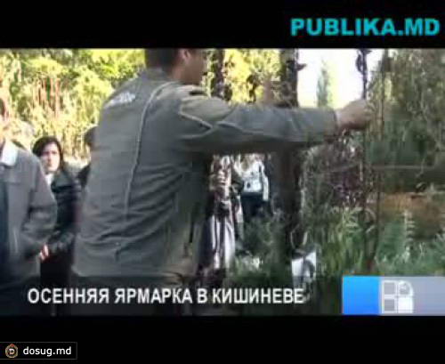 Сельскохозяйственная ярмарка привлекает покупателей большим выбором товаров