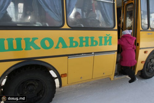 Школьные автобусы получат «мигалки»