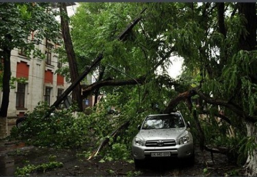 Шквальный ветер повалил дерево в центре Кишинева