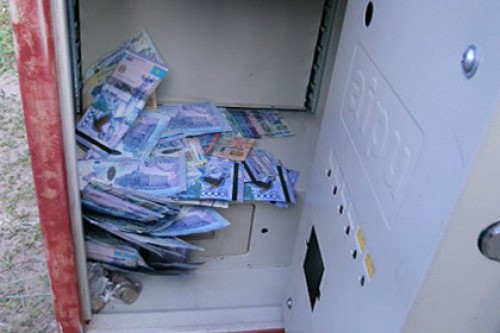Служебный пес помог задержать испугавшихся «поющей» печки грабителей