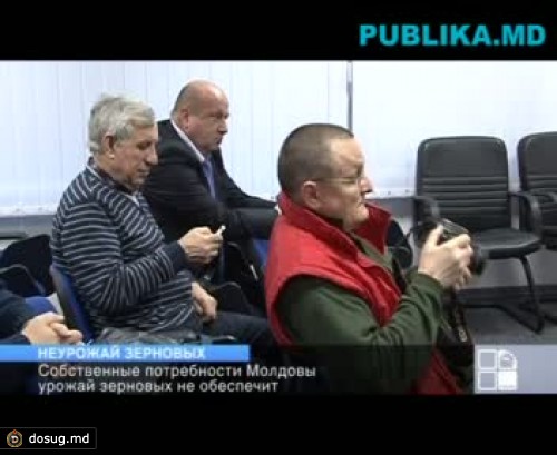 Собственные потребности Молдовы урожай зерновых не обеспечит