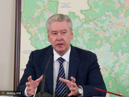 Собянин призвал провести месячник по уборке лесов "новой Москвы"