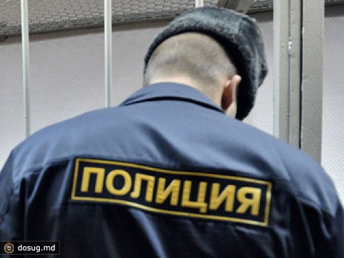 Сотрудникам московской полиции поручили защищать граждан от морозов