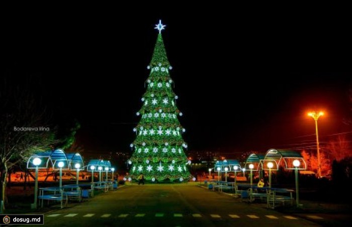 Тирасполь осветили огни новогодней елки. ФОТО
