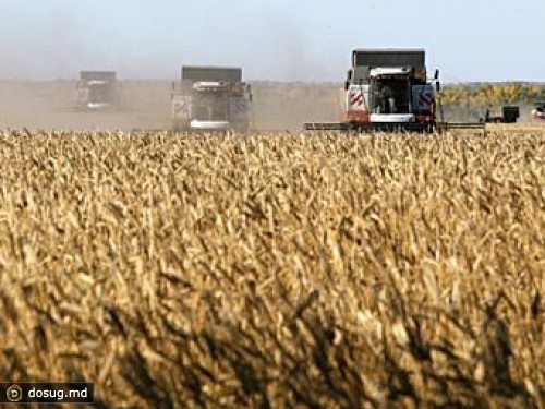 Цены на продукты в России начали расти из-за засухи