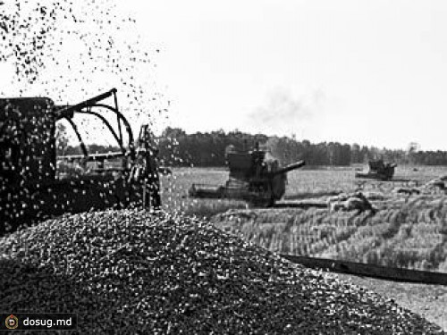 Цены на зерно в России достигли максимума с распада СССР