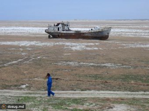 Туркмения отгородится от высыхающего Арала зарослями саксаула