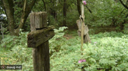 Тысяча леев за каждого умершего в Оргееве