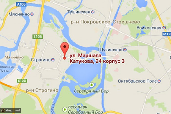 У безработной москвички украли 40 миллионов рублей