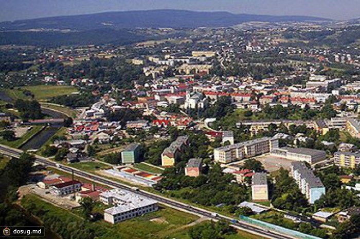 Убившую два миллиона пчел женщину приговорили к условному сроку