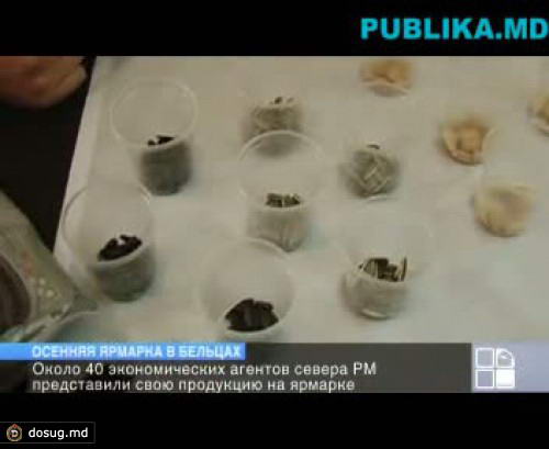 В Бельцах проходит ярмарка малого и среднего бизнеса