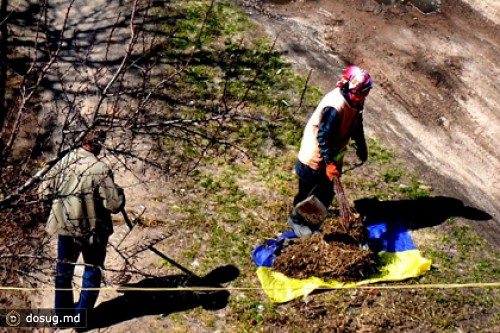 В Чернигове разберутся с выносом мусора на флаге Украины