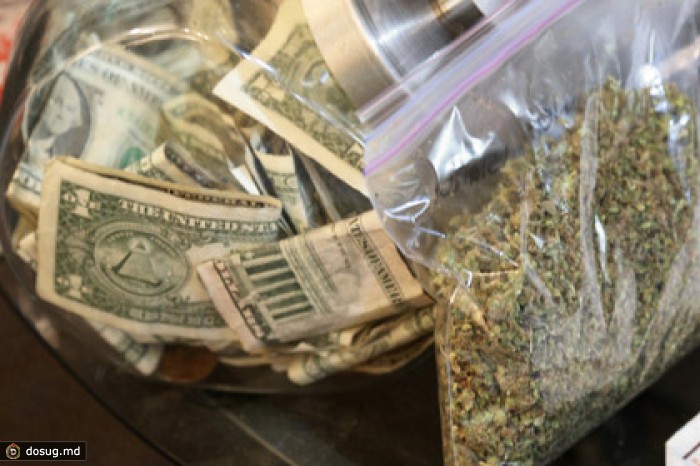 В Денвере проведут первую ярмарку вакансий в марихуановой отрасли