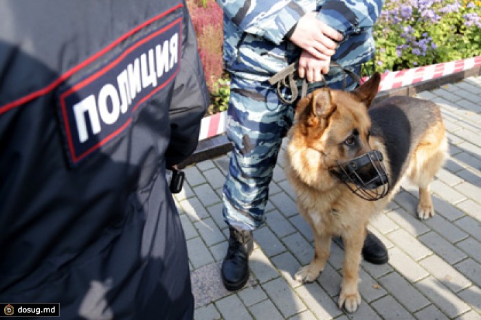 В Екатеринбурге мужчина и женщина подорвали себя гранатами