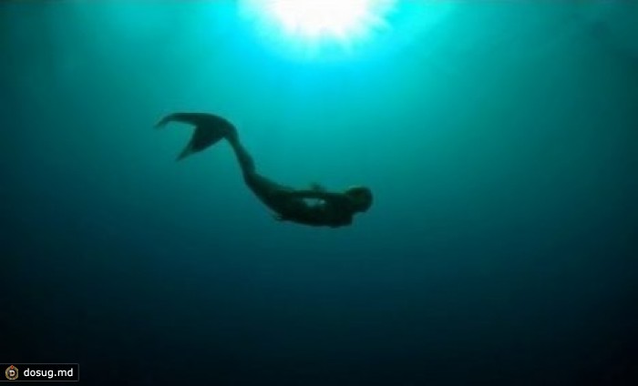 В Гренландском море засняли русалку. ВИДЕО