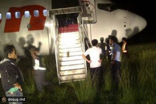 В Индонезии самолет при посадке сбил корову