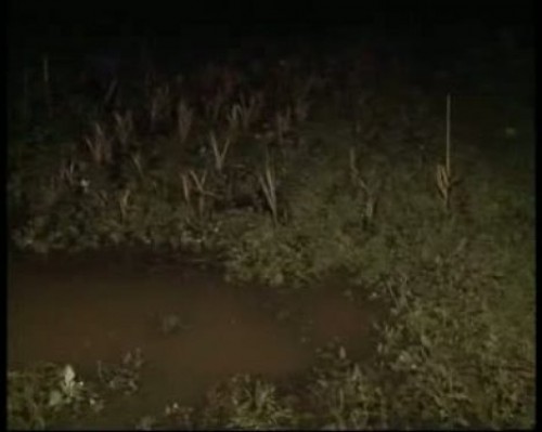 В Каушанском районе прорвало дамбу: жители вынуждены были спешно покинуть дома