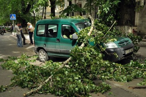 В Кишиневе на автомобиль обрушились ветви дерева