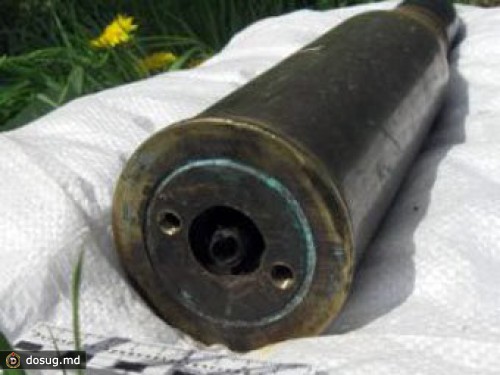 В Кузбассе в лесу нашли 234 ящика боеприпасов