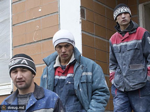 В Минтруда рассказали о профессионализме гастарбайтеров