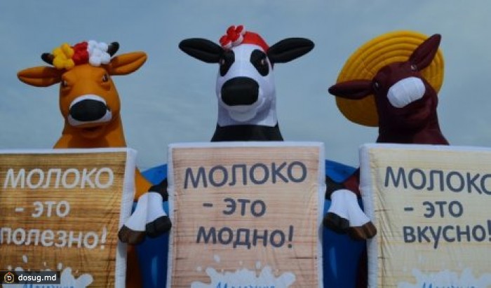 В Молдове впервые пройдет фестиваль коров