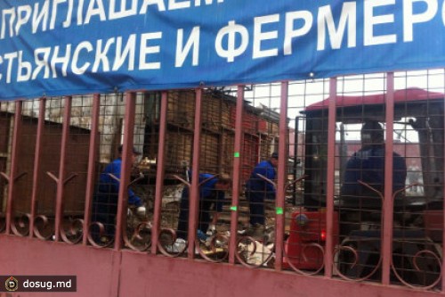 В Москве начали сносить строения рынка «Выхино»