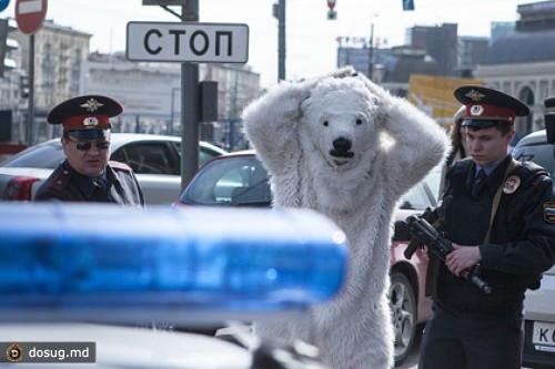 В Москве задержали трех «медведей-гринписовцев»