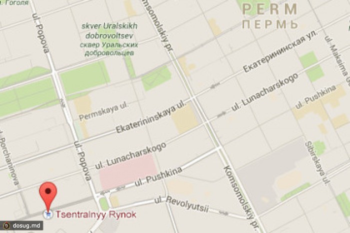 В Перми для предотвращения массовой драки задержали 104 человека