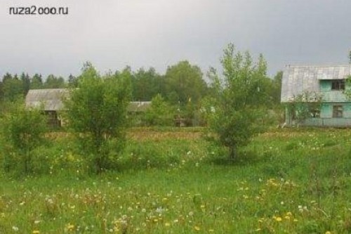 В Подмосковье возбудили дело в связи с нападением на полицейских