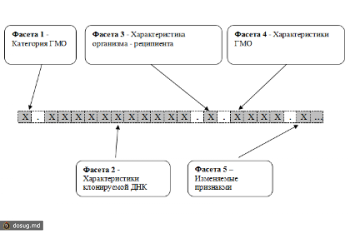 В России появится система классификации ГМО