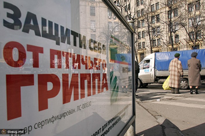 В России впервые за четыре года выявлен птичий грипп