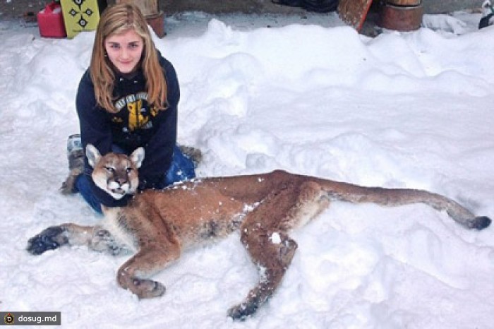 В США 11-летняя девочка спасла своего брата от пумы