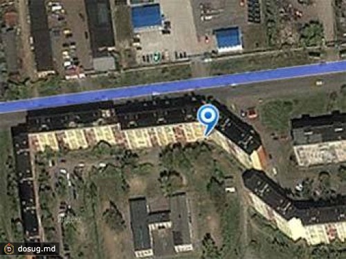 В Санкт-Петербурге каратист убил вооруженного пистолетом собаковода