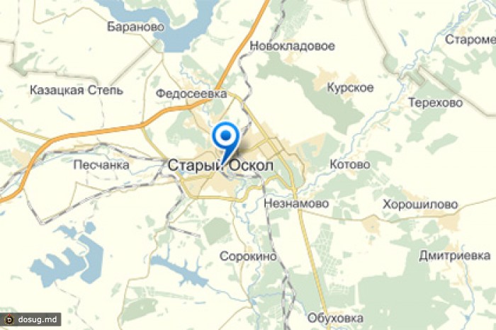 В Старом Осколе свинью похитили через подкоп