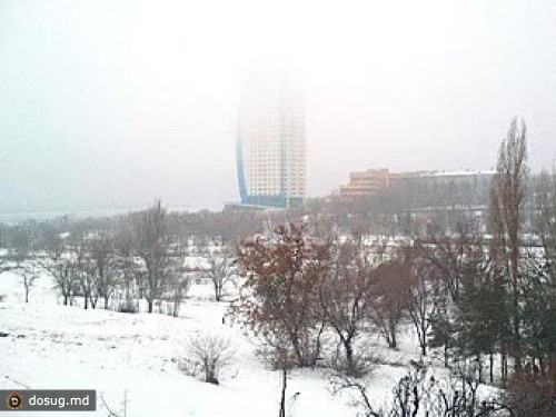 В Волгограде украли ампутированную ногу