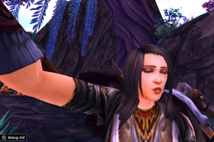 В World of Warcraft появились селфи