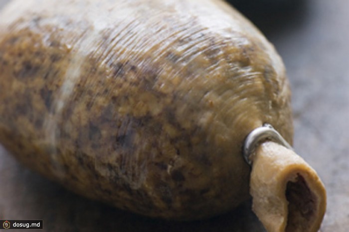 В аэропорту Бирмингема нашли «взрывоопасный» хаггис