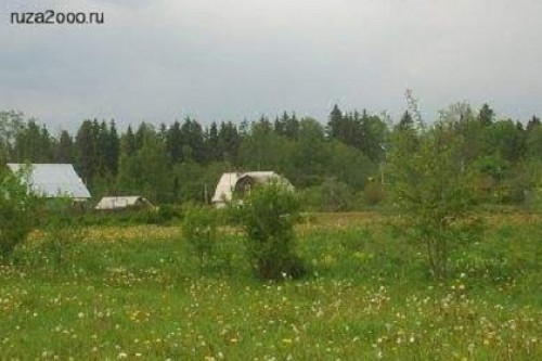 В доме напавшего на полицию многодетного отца нашли арбалет и сабли