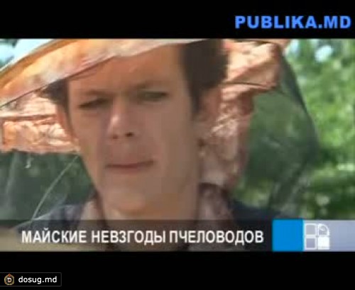 В этом году мед подорожает на 20%