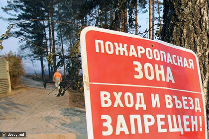 Въезд в подмосковные леса на праздники запретили из-за угрозы пожаров