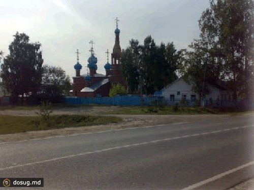 В ходе драки за поросенка бизнесмен погиб из-за выбитого зуба