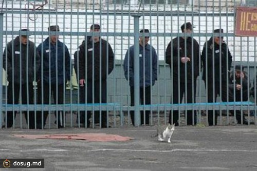 В камчатской колонии произошла массовая драка