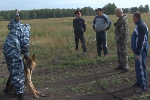 В лесу под Омском ранили женщину и похитили ребенка