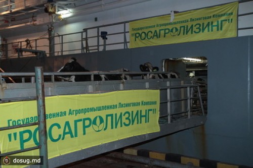 В рамках дела «Росагролизинга» прошли обыски в воронежской фирме
