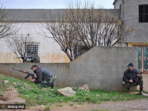 В результате боев в Сирии погибли 66 человек