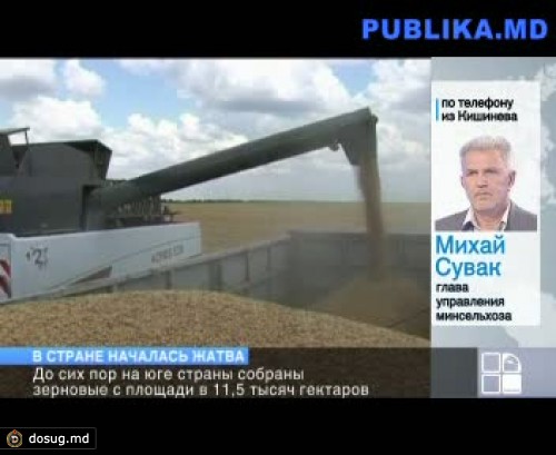 В центральных и северных районах страны началась уборка зерновых