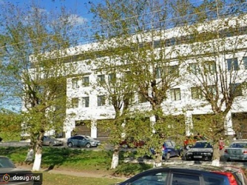 Во Владимире завели дело за разжигание ненависти к скинхедам
