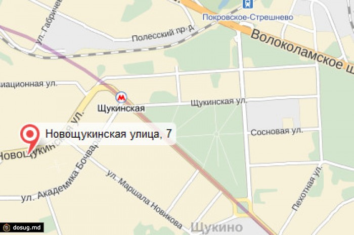 Водитель московского автобуса врезался в остановку из-за микроинсульта